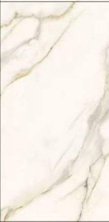 Time Dorado Polished 12 x 24